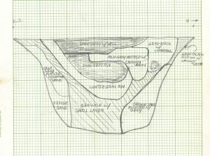 A pencil drawing of an archaeological profile with many layers.