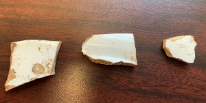 The white backsides of the same sherds pictured above.