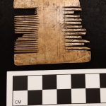 Grooming comb recovered in the City of Suffolk.