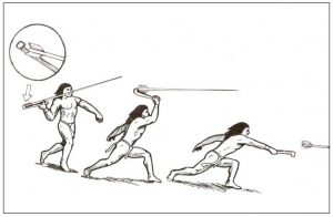 Illustration of a person using an atlatl to throw a spear.
