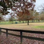 Upperville Colt Horse Show Grounds